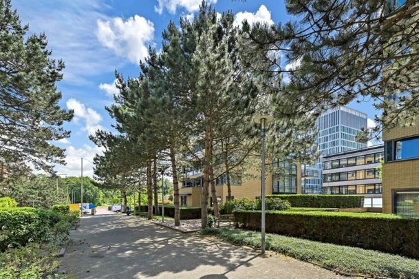 Te huur: Appartement Jan Willem Frisohof 52 in Den Haag - Foto 1