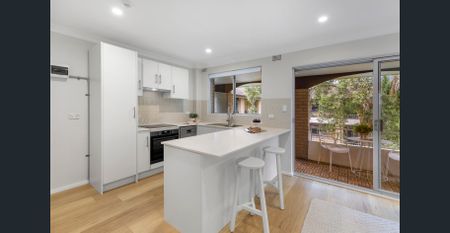Renovated Coastal Retreat in the Heart of Dee Why - Photo 5