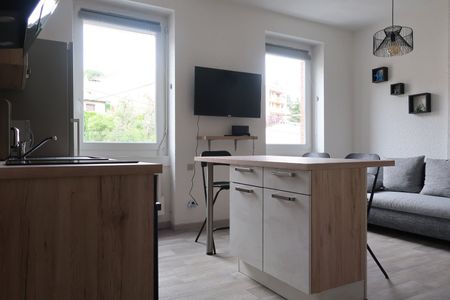 Location Appartement 1 pièce 28m² ST ETIENNE 42100 - Photo 5