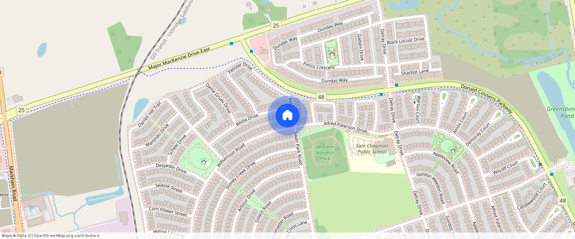 81 Pelister Drive, Markham, L6E 0M7