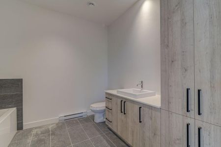 20 Boul. Ste-Anne, app.107, J5N 3M8, Sainte-Anne-Des-Plaines - Photo 3