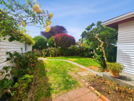 Boulcott Living - Photo 4