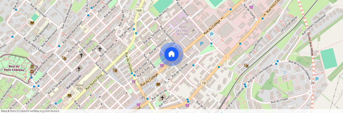 Rue du Collège 27, 2300 La Chaux-de-Fonds