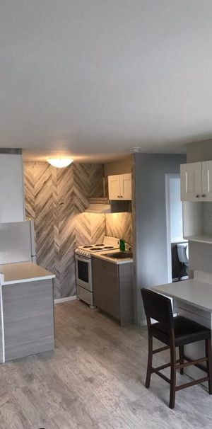 3 1/2 condo style - Photo 1