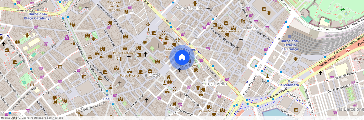 Carrer de la Dagueria, Barcelona, Catalonia 08002