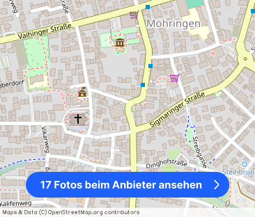 Sanierter Wohntraum ganz oben – mit Aufzug & Aussicht - Foto 1