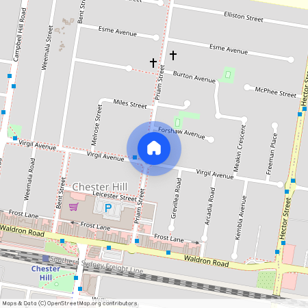 122 Virgil Avenue, NSW 2162, Chester Hill