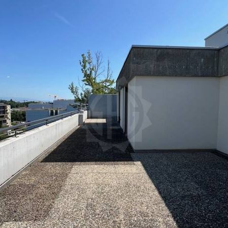 Magnifique Appartement - Genève - Photo 1