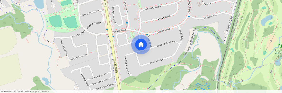 99 Widdifield Avenue, Newmarket