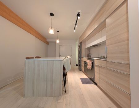 Rue Eleanor, H3C 0T5, Montréal - Photo 5