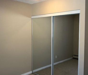 Amazing 2 Bedroom Top Floor Apartment!! - Photo 5