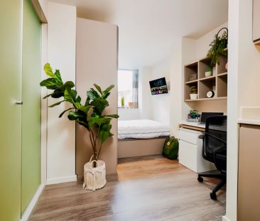 Classic Plus - Photo 2