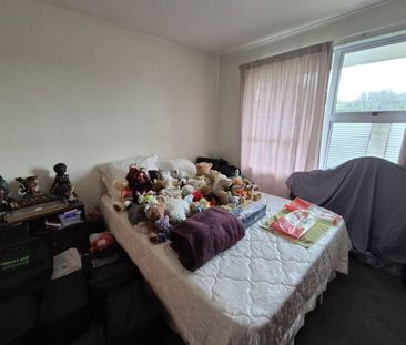 Two Bedroom Unit, Blenheim - Photo 4