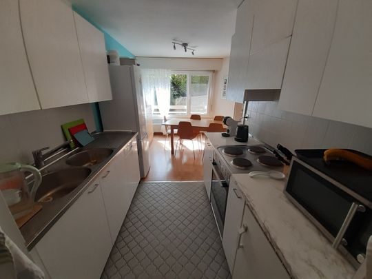 Bel appartement avec terrasse dans un cadre calme et verdoyant - Photo 1