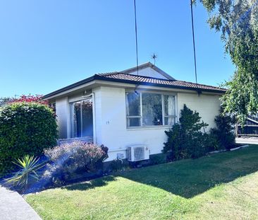 Fully Renovated sunny two bedroom unit - Photo 6