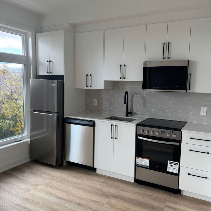 123 Harvey St #1, Ottawa, ON K1S 0A8 - Photo 1