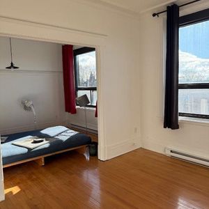 Grand 3 1/2 — Immeuble tranquille avec cachet — Disponible 1er décembre - Photo 2