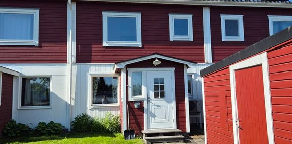 Frostgränd, Skellefteå - Foto 2