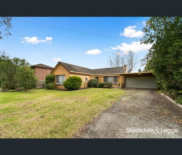 20 Curran Street, Traralgon, Vic 3844 - Photo 1