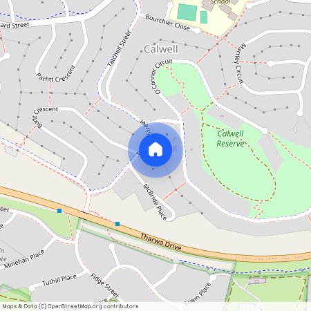 45 Tatchell Street, 2905, Calwell Act