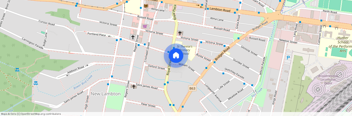 29 Royal Street, NSW 2305, New Lambton