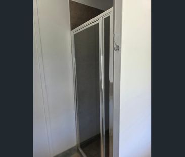 Renovated Cottage on Large Block - Photo 5