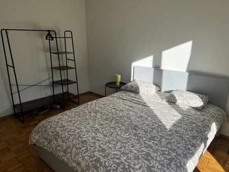 31/2-ROOM APARTMENT IN PREGASSONA (TI), FURNISHED - Photo 3