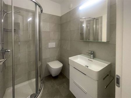 Elegant renovated 4.5-room apartment with a terrace in Breganzona - Photo 2