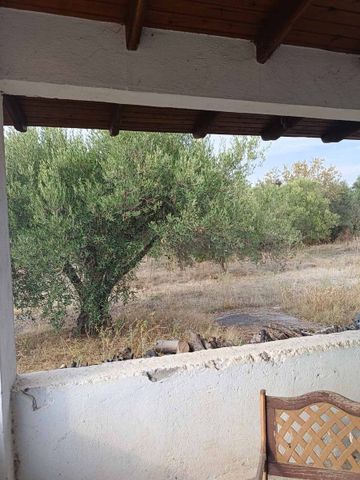 Μονοκατοικία για ενοικίαση Πουρνάρι (Πυλαία) - Photo 2