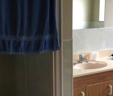 Only on Old Wairoa! - Photo 3