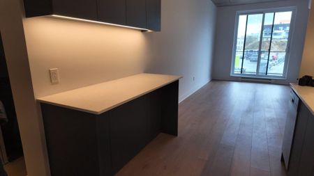 Appartement à louer - Montréal (Mercier/Hochelaga-Maisonneuve) (Hochelaga-Maisonneuve) - Photo 4