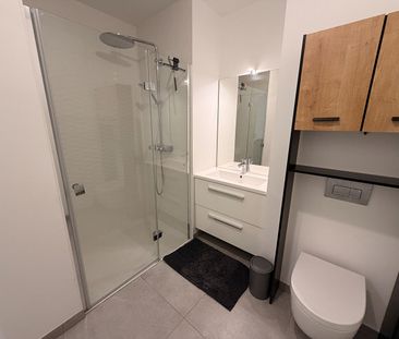 Location Appartement 1 pièce 21m² - Photo 4