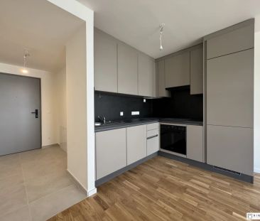 Blumengasse - ERSTBEZUG | 1 Zimmer Wohnung | Terrasse & Garten | zz... - Foto 3