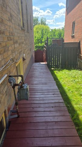 For Lease - 38 Goreridge Crescent Unit# Bsmt, Brampton, Ontario - Photo 4