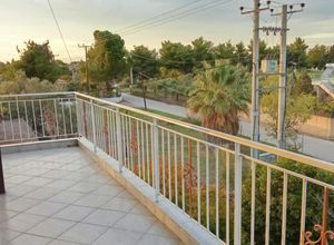 Διαμέρισμα για ενοικίαση - Συκάμινο, - Photo 2