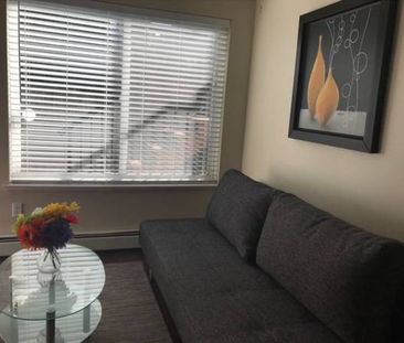 Fully Furnished 2-bedroom Basement Suite - Photo 4