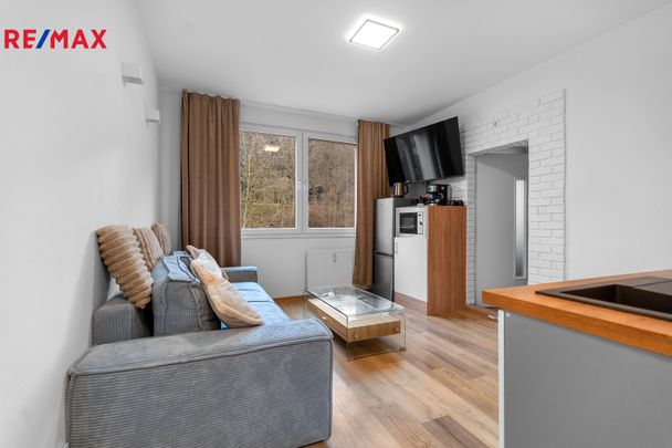 Pronájem bytu 2+kk v osobním vlastnictví 36 m², Ústí nad Labem - Photo 1