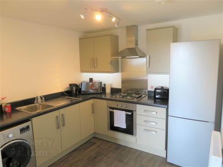 Apt 6, 161 Glen Road, Belfast, BT11 8SB - Photo 3