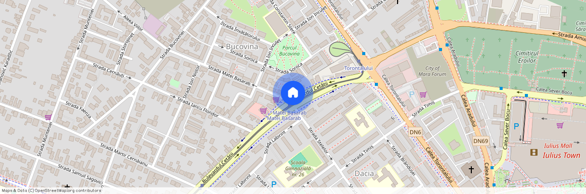 Timis, Timisoara