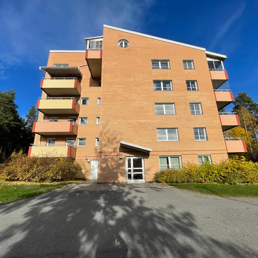 Löftesgränd, Skellefteå - Foto 2