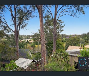 Spacious Family Home in the heart of Chapel Hill - Photo 6