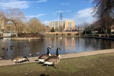 Studio to rent - Photo 2