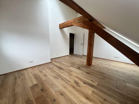 Penthouse-Wohnung + 270m2 Dachterrasse zur Miete als Wohnung oder Büro - Photo 3