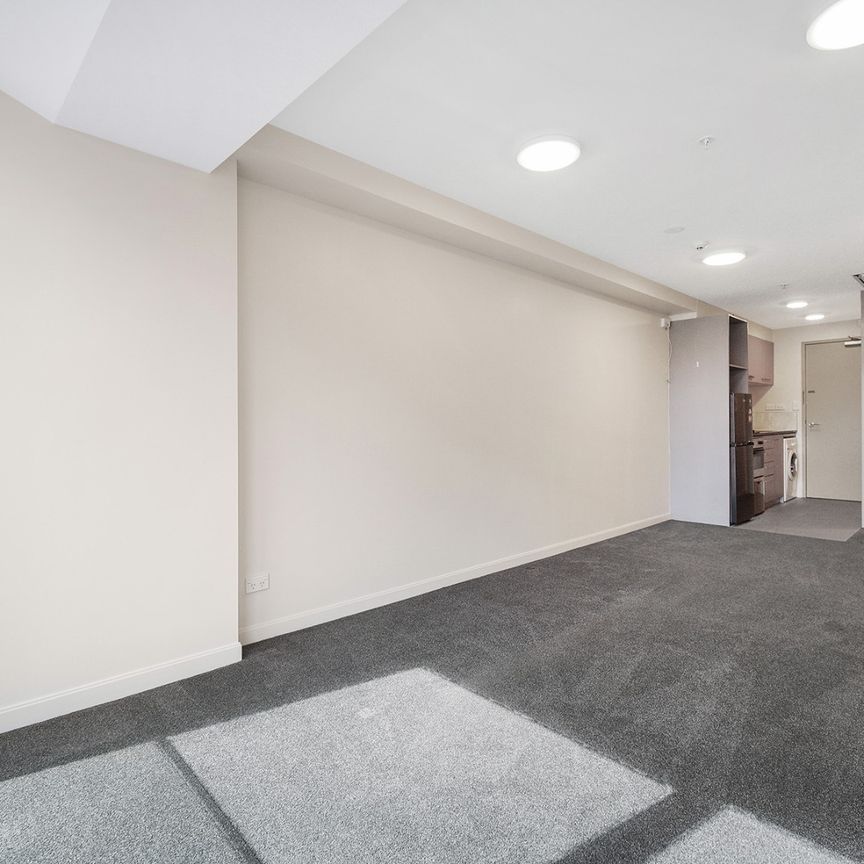 Freshly Renovated - Photo 1
