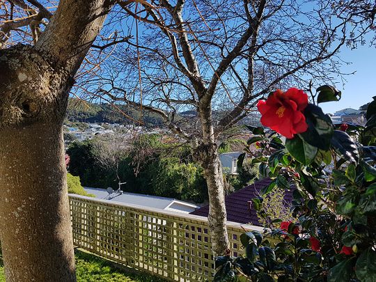 98 Melbourne Road, Island Bay Wellington 6023 - Photo 1