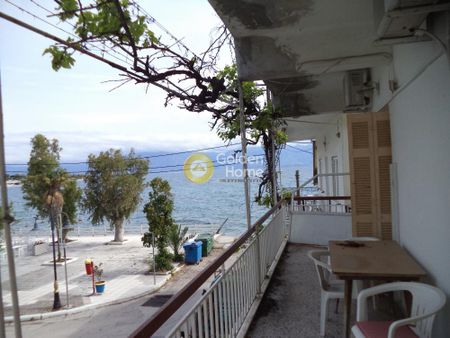 Ενοικίαση, Κατοικία, Κτίριο - Φωτογραφία 5