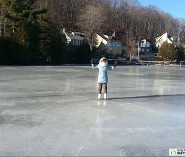 222, 217e Avenue, St-Hippolyte à louer - Photo 2