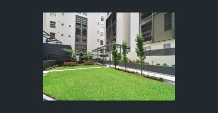 2Bedroom with level street access 50M to Harris Farm - Photo 3