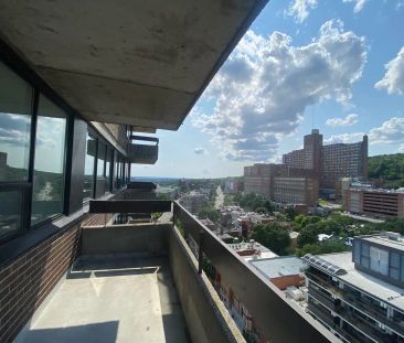 1550 Avenue du Docteur-Penfield — 3½ à louer - Montréal - Photo 3
