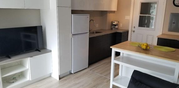 JANVIER Coquet 3.5+bur. meublé hydro inclus - personne seule - Photo 2